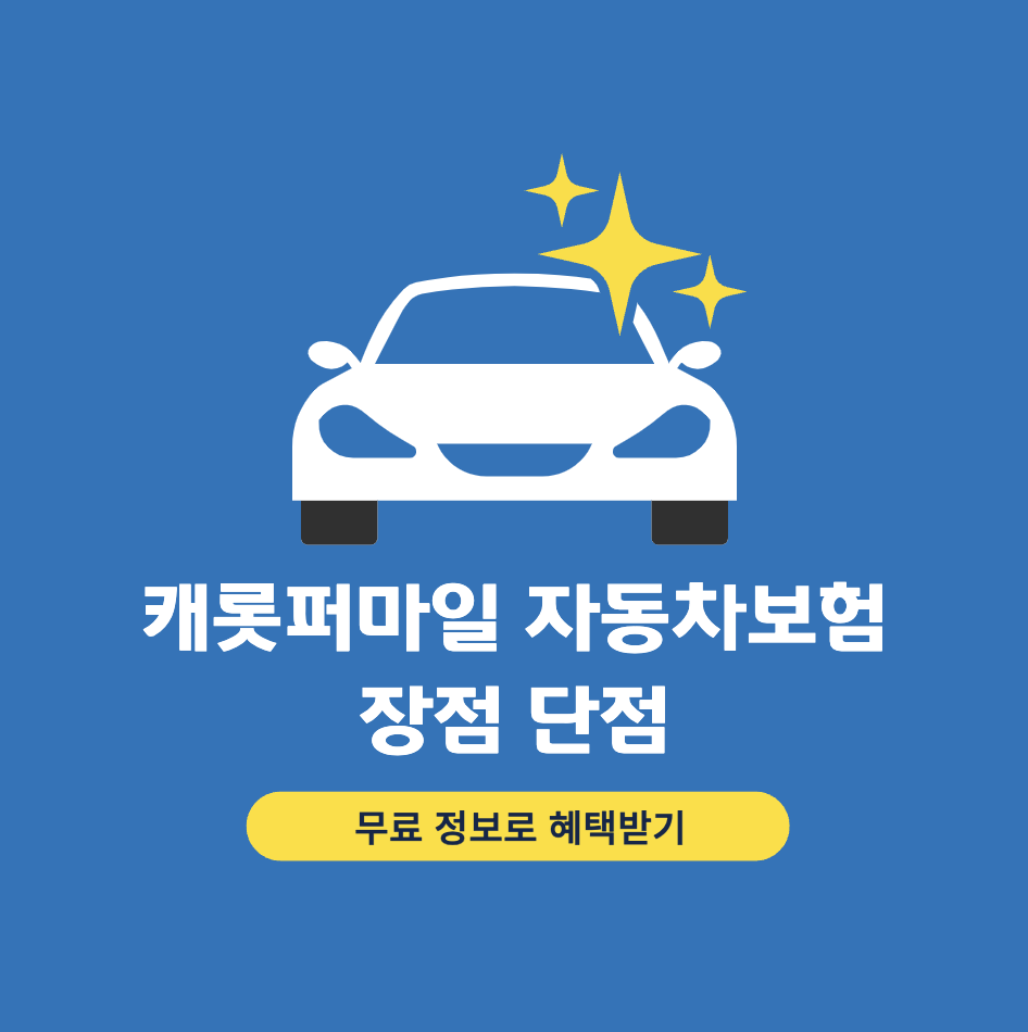 싸다고-소문난-캐롯-퍼마일-자동차보험-장단점