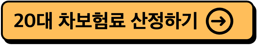 자동차보험-금액-20대-자동차보험료-평균-비교-가격-차이